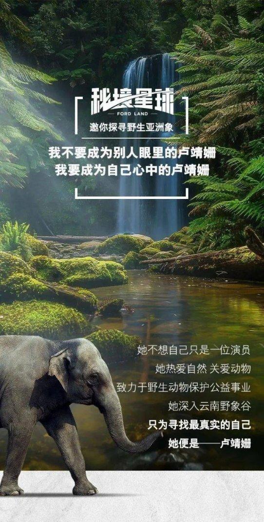 第五人格