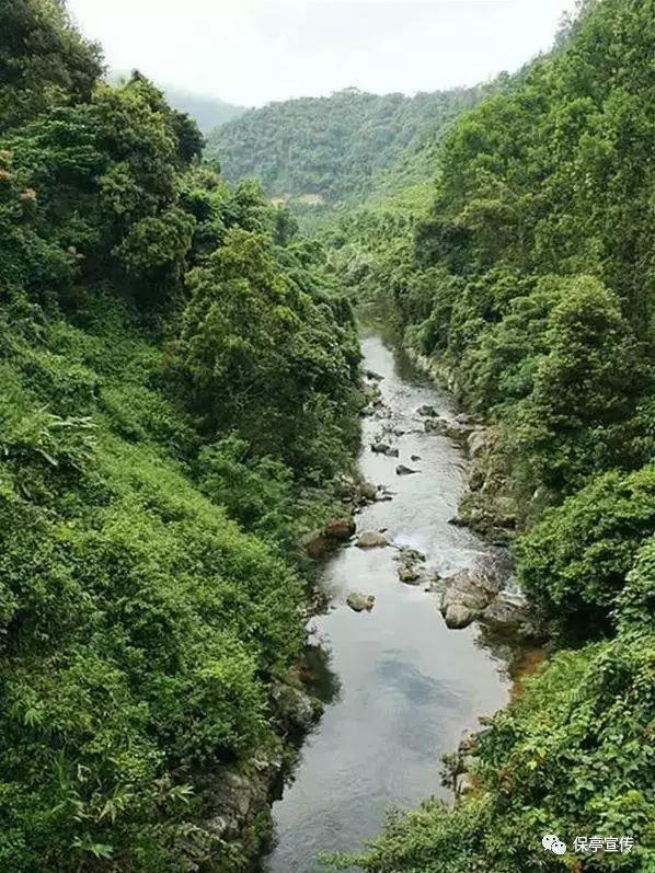 大叔钓鱼